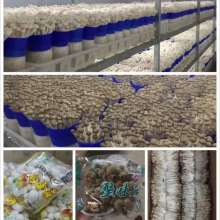 2019年塑料印刷市场价格行情、报价要素与批发采购全解析